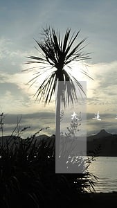 大连车辆司法签定机构 大连车辆司法签定机构