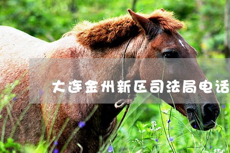 大连金州新区司法局电话 大连金州新区司法局电话