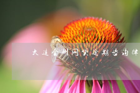 大连金州网贷逾期咨询律师