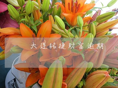 大连铭捷财富逾期 大连铭捷财富逾期