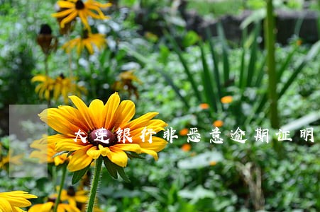 大连银行非恶意逾期证明模板 大连银行非恶意逾期证明模板