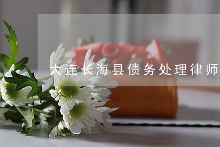 大连长海县债务处理律师 大连长海县债务处理律师