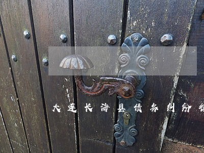 大连长海县债务纠纷律师 大连长海县债务纠纷律师