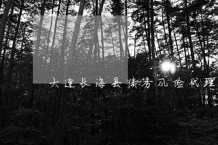 大连长海县债务风险代理律师 大连长海县债务风险代理律师
