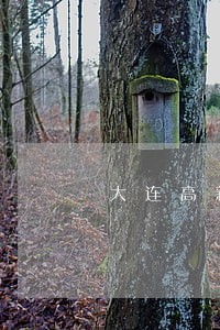 大连高新区有法院吗 大连高新区有法院吗