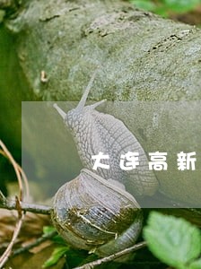 大连高新园区法律援助中心 大连高新园区法律援助中心