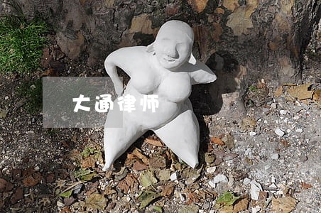 大通律师 大通律师
