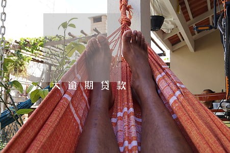 大逾期贷款 大逾期贷款