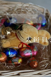 大邑县法律咨询电话