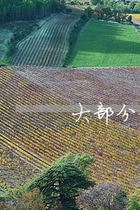 大部分律师的例会 大部分律师的例会