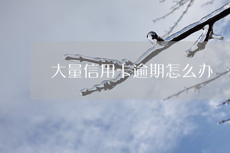 大量信用卡逾期怎么办
