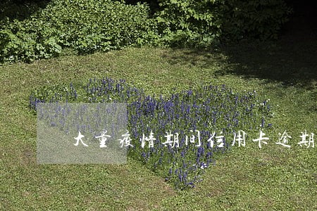 大量疫情期间信用卡逾期