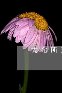 大金所理财逾期 大金所理财逾期