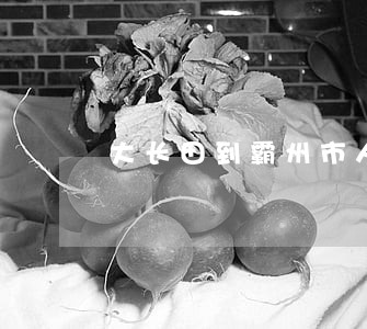 大长田到霸州市人民法院路线