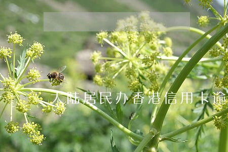 大陆居民办香港信用卡逾期 大陆居民办香港信用卡逾期