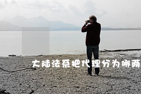 大陆法系把代理分为哪两类 大陆法系把代理分为哪两类