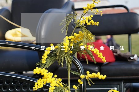 大集体工人劳动合同法 大集体工人劳动合同法