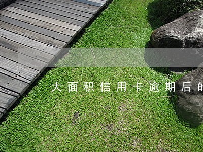 大面积信用卡逾期后的生活