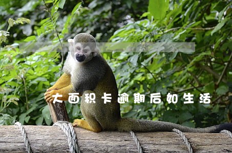 大面积卡逾期后如生活
