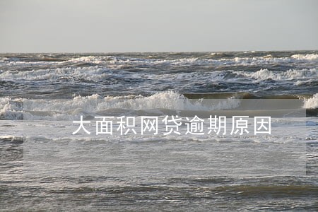 大面积网贷逾期原因 大面积网贷逾期原因