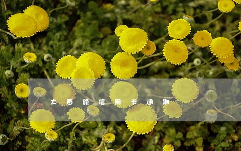 大面额信用卡逾期