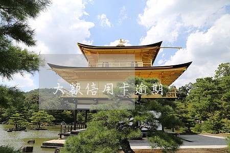 大额信用卡逾期
