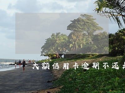 大额信用卡逾期不还是什么后果