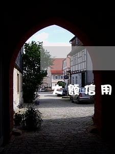 大额信用卡逾期二年 大额信用卡逾期二年