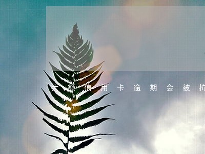 大额信用卡逾期会被拘留么 大额信用卡逾期会被拘留么