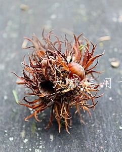 大额信用卡逾期咋协商 大额信用卡逾期咋协商