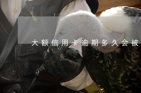 大额信用卡逾期多久会被起诉 大额信用卡逾期多久会被起诉