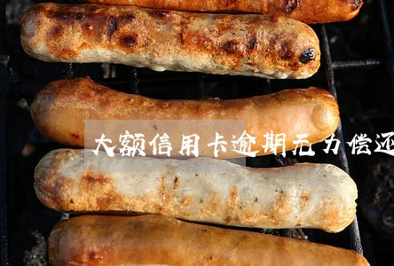 大额信用卡逾期无力偿还