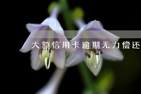 大额信用卡逾期无力偿还怎么 大额信用卡逾期无力偿还怎么