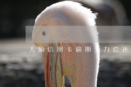 大额信用卡逾期无力偿还怎么办 大额信用卡逾期无力偿还怎么办