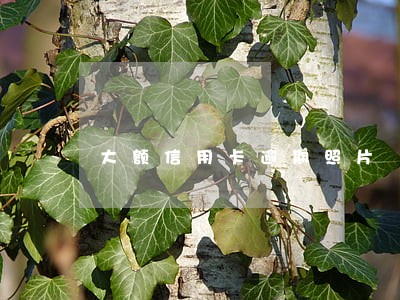 大额信用卡逾期照片 大额信用卡逾期照片