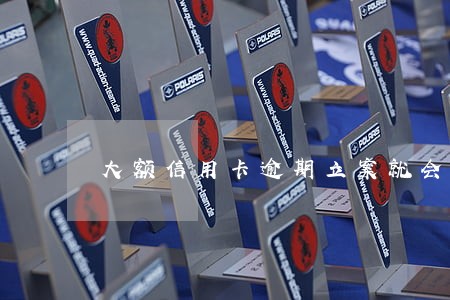 大额信用卡逾期立案就会抓人吗 大额信用卡逾期立案就会抓人吗