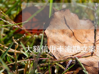 大额信用卡逾期立案流程 大额信用卡逾期立案流程