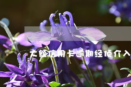 大额信用卡逾期经侦介入