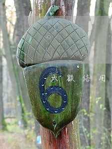 大额信用卡逾期账单 大额信用卡逾期账单