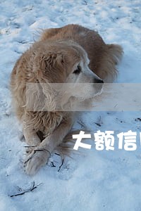 大额信用卡逾期还不起怎么办 大额信用卡逾期还不起怎么办