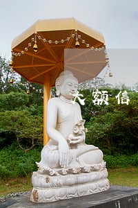 大额信用卡逾期风险 大额信用卡逾期风险