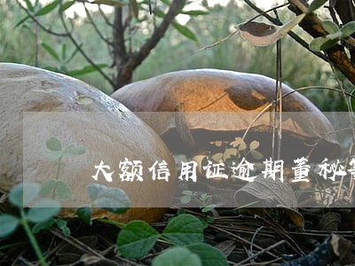 大额信用证逾期董秘等吃警示函 大额信用证逾期董秘等吃警示函