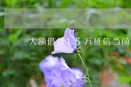 大额借贷15万征信当前有逾期 大额借贷15万征信当前有逾期