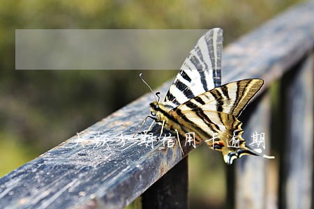 大额分期信用卡逾期