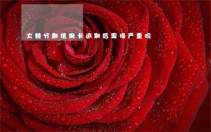 大额分期信用卡逾期后果很严重吗 大额分期信用卡逾期后果很严重吗