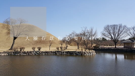 大额存款有必要找律师吗 大额存款有必要找律师吗