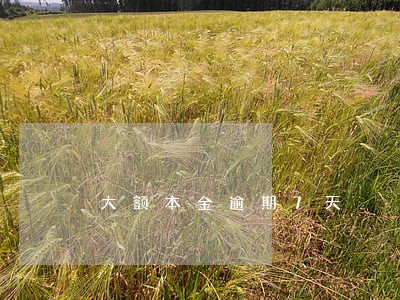 大额本金逾期7天 大额本金逾期7天