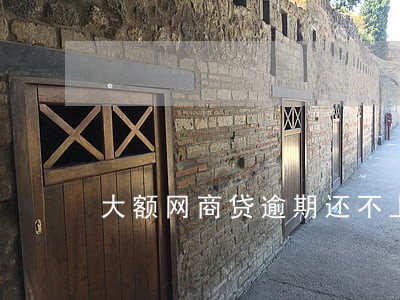 大额网商贷逾期还不上怎么办 大额网商贷逾期还不上怎么办