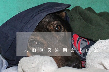大额网贷逾期会上门么 大额网贷逾期会上门么