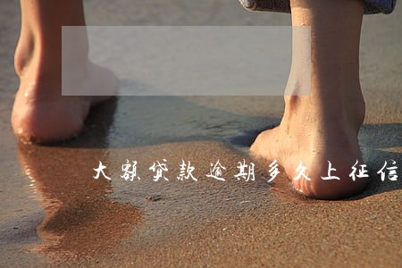 大额贷款逾期多久上征信 大额贷款逾期多久上征信
